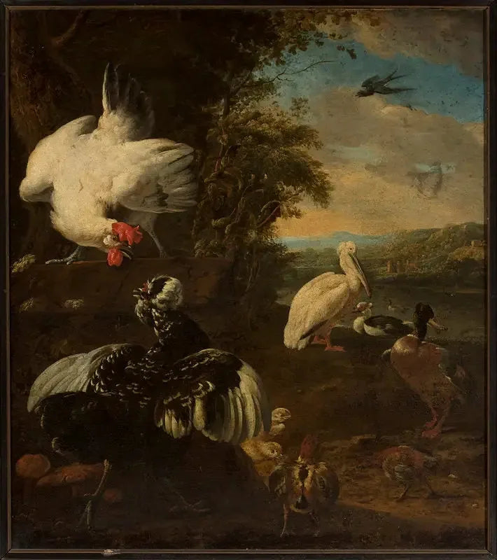 aves domésticas - Melchior de Hondecoeter