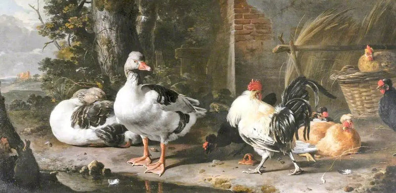 Aves de capoeira e gansos - Melchior de Hondecoeter