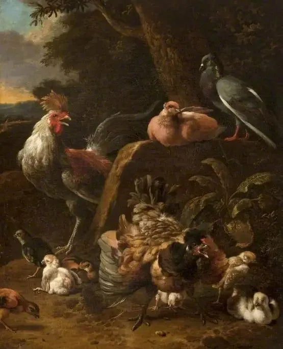 Aves de capoeira e pombos - Melchior de Hondecoeter