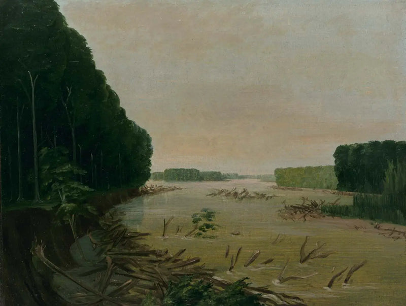 Vista do Missouri, as margens aluviais estão desmoronando, a 966 quilômetros acima de Saint-Louis - George Catlin