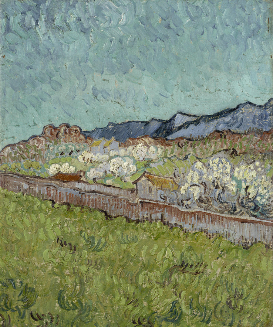 Vista das Alpilles - Vincent van Gogh