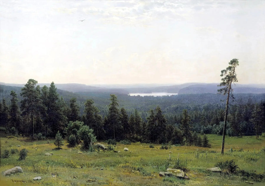 Paisagens distantes da floresta - Ivan Chichkine