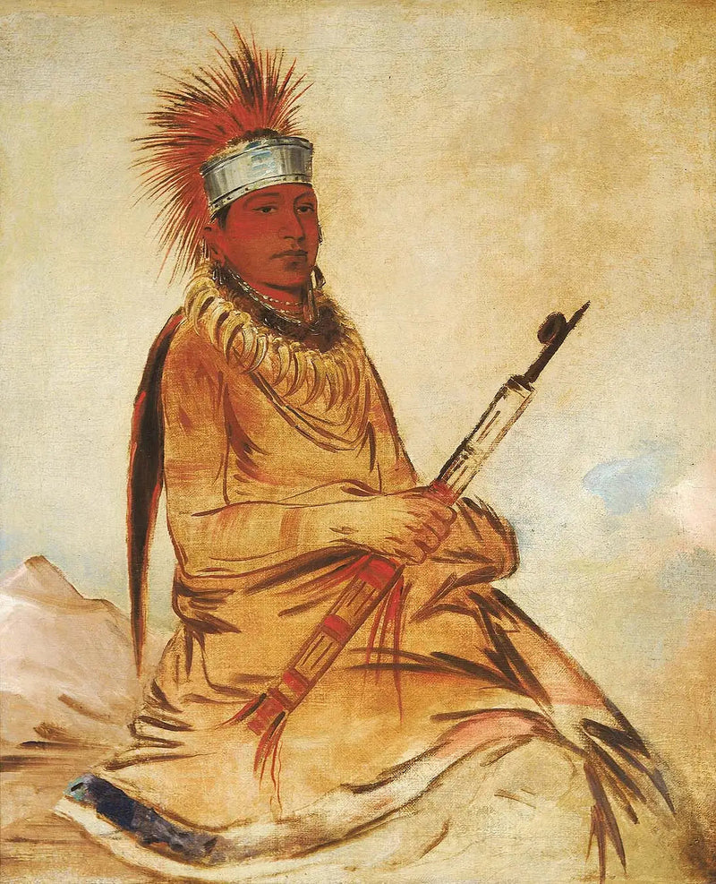 W'y-ee-yogh, homem de bom senso, um homem de bem - George Catlin