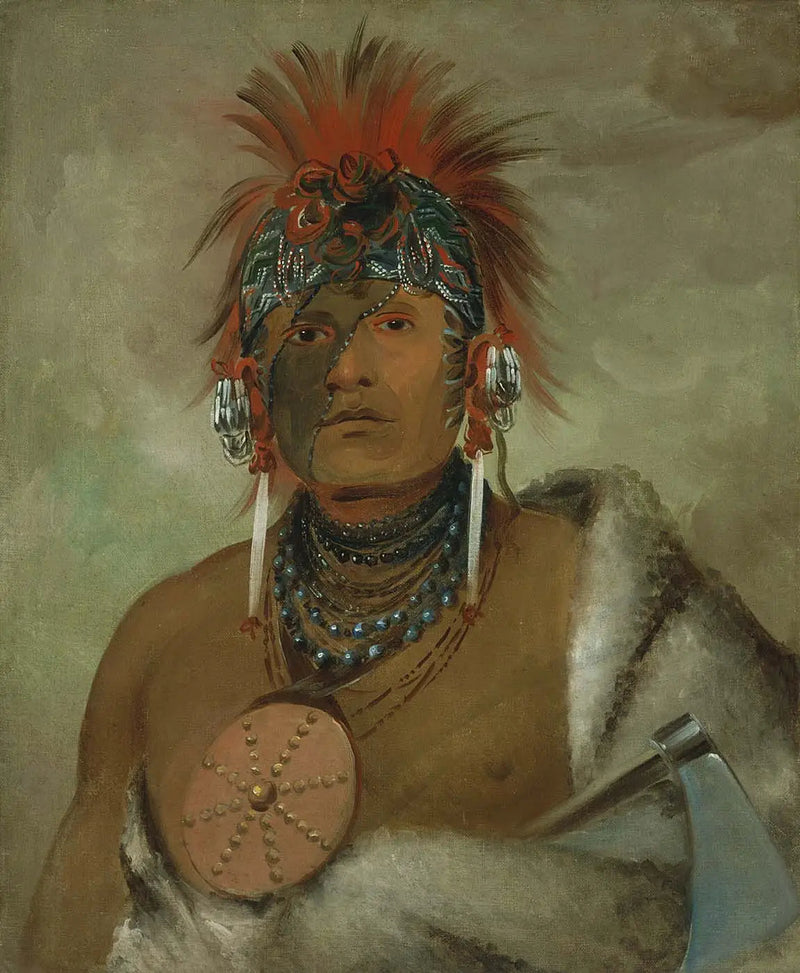 Wá-hón-ga-shee, No Fool, um grande idiota - George Catlin