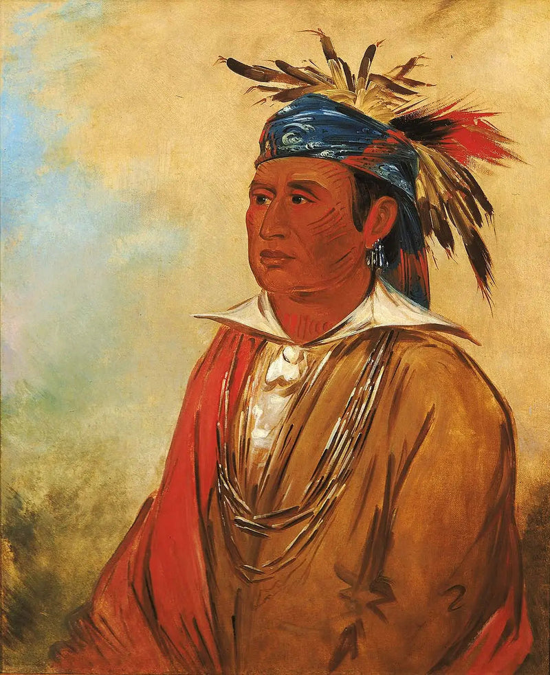 Wah-pón-jee-a, O Cisne, um Guerreiro - George Catlin