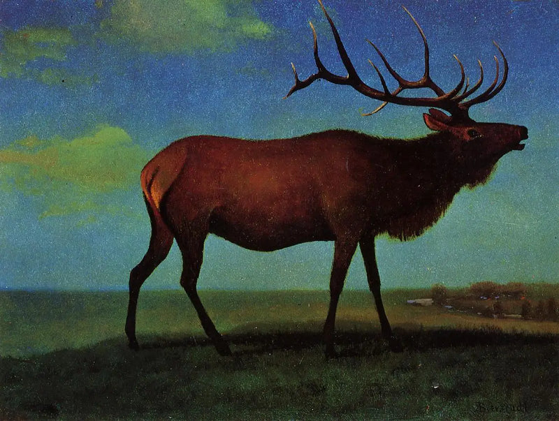 Wapiti macho - Albert Bierstadt