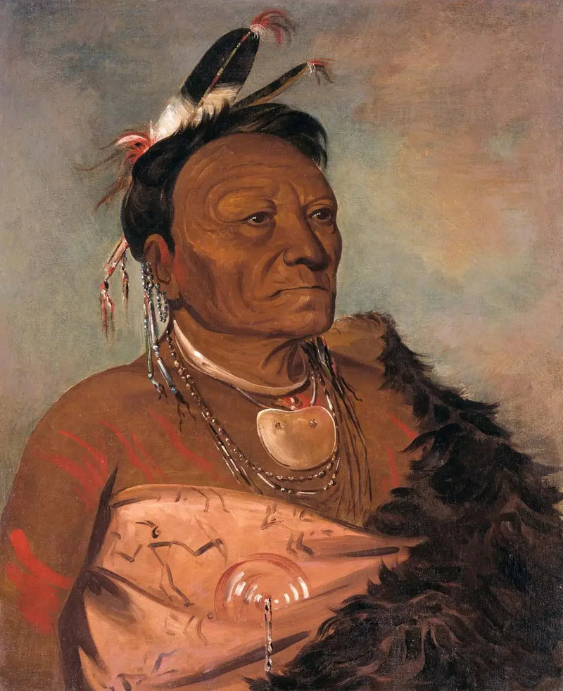 Wee-tá-ra-shá-ro, chefe da tribo - George Catlin