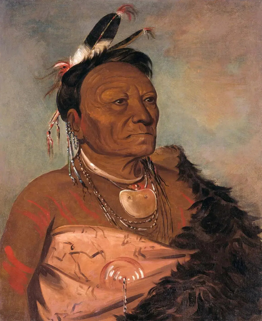Wee-tá-ra-shá-ro, chefe da tribo - George Catlin