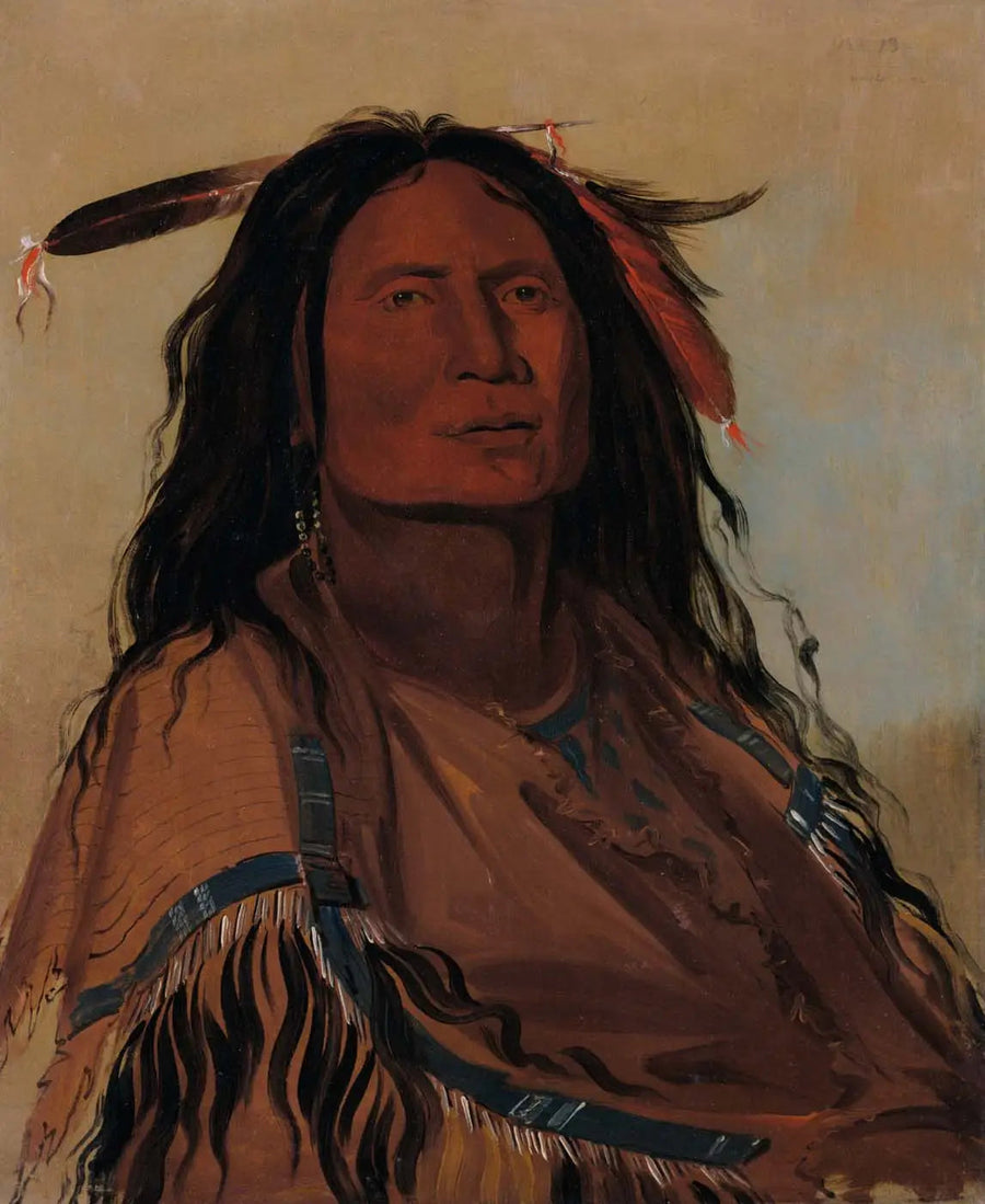 Wúk-mi-ser, Milho, um guerreiro Miniconjou - George Catlin